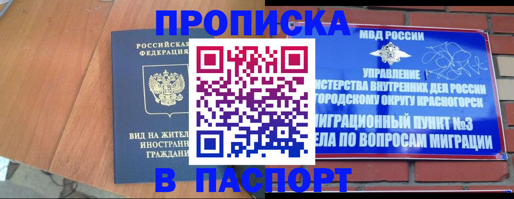 найти адрес прописки в Шали